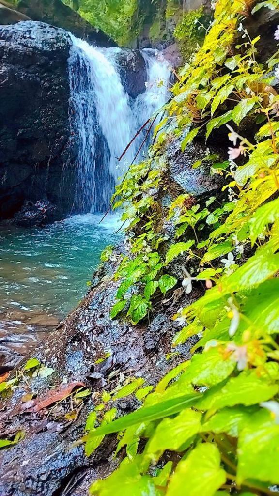 Sahaydri Hill View Agro Tourism - Farm Resort Ghātghar المظهر الخارجي الصورة
